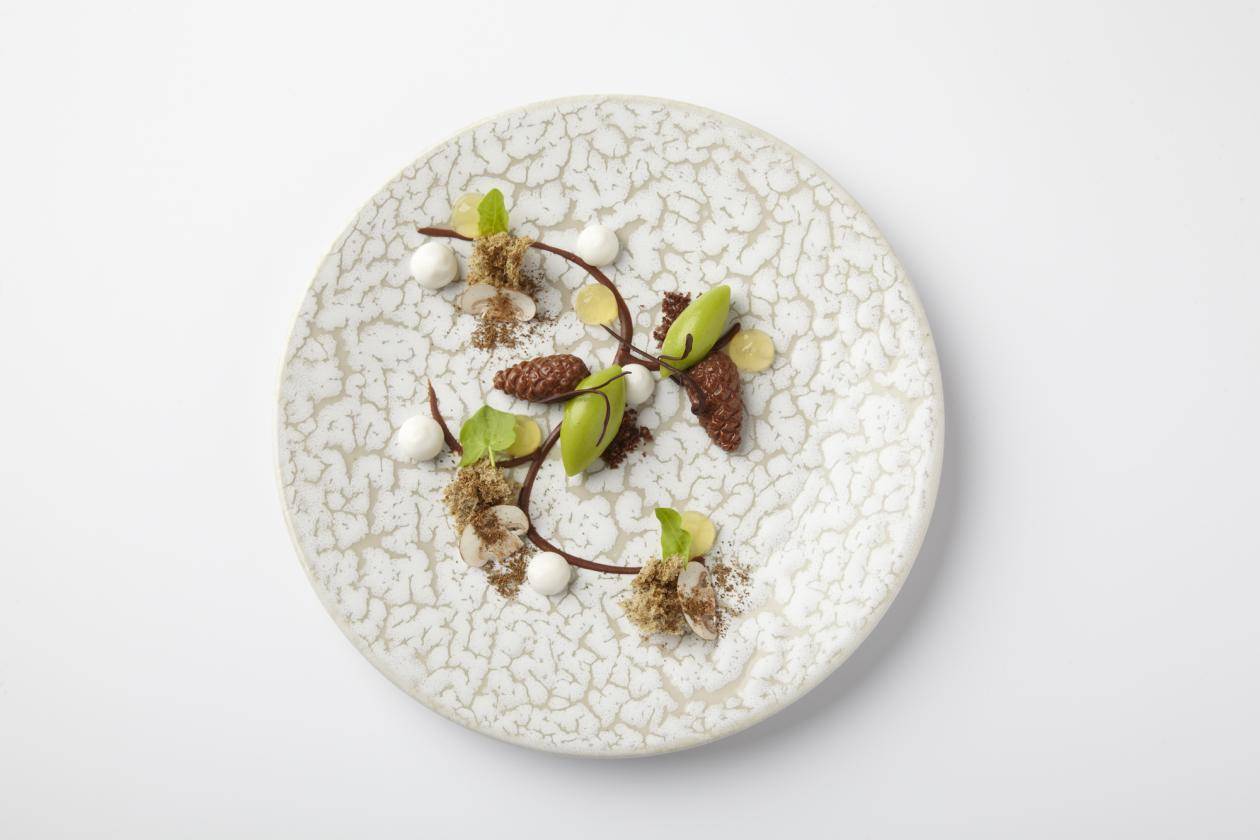 Spruce tips, chocolate, mushrooms, tonic and coconut. Photo: Markus Höhn