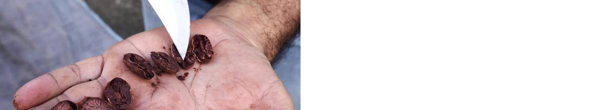 Episodio 9 - Secado