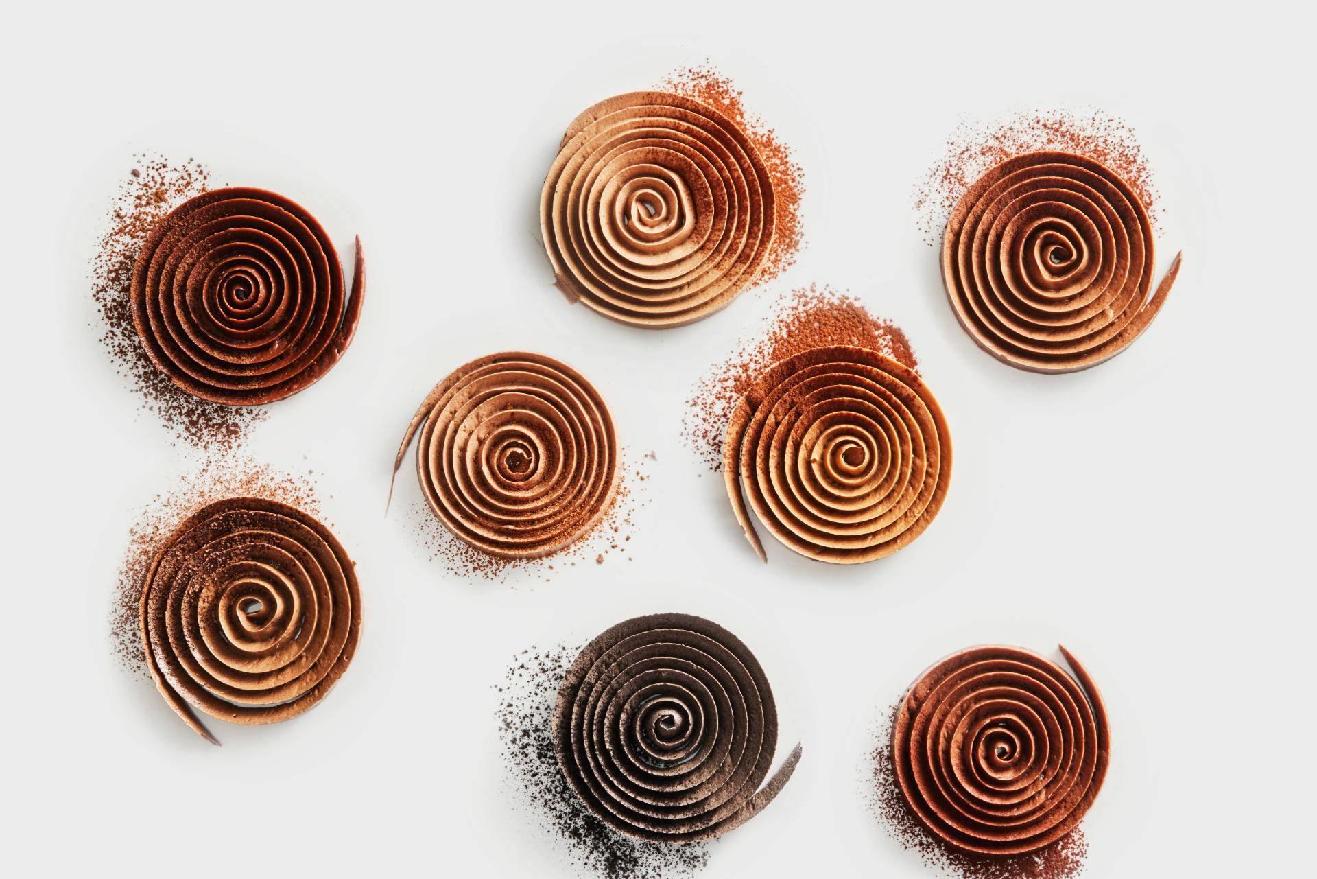L'UNIVERS DES POUDRES DE CACAO