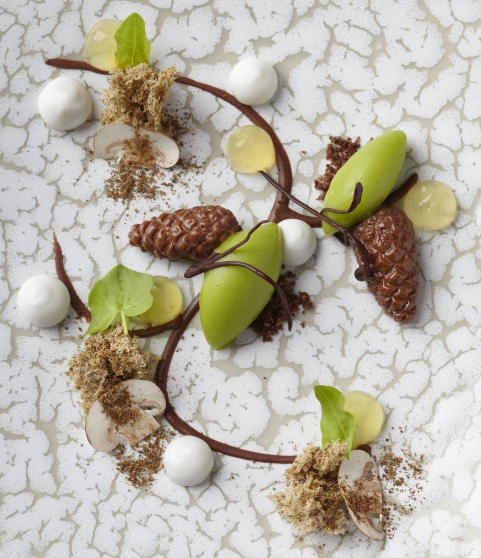 Spruce tips, chocolate, mushrooms, tonic and coconut. Photo: Markus Höhn