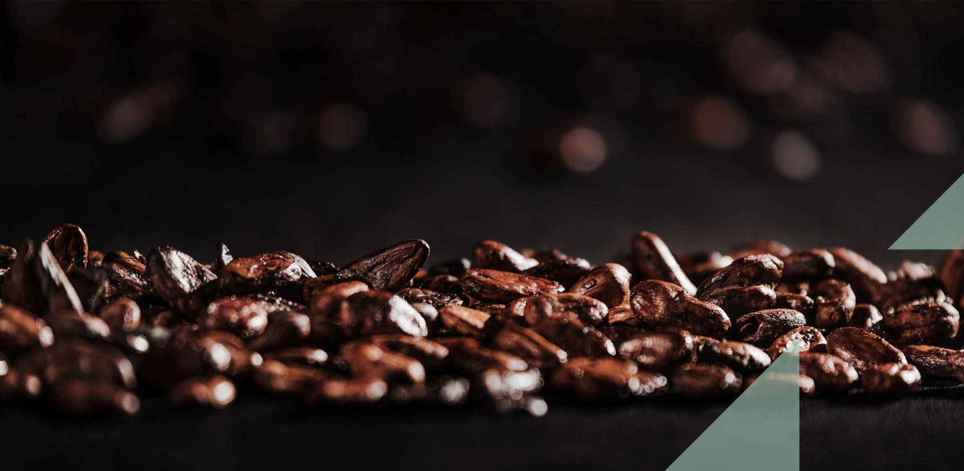 cocoa beans