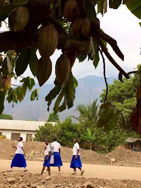 Under the Tanzanian sun. Part 1: David Girard talks about his cacao plantation experience