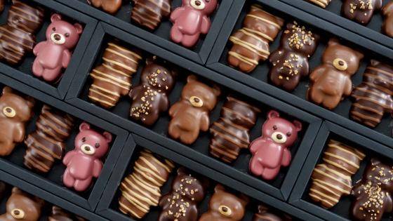 RECETTES OURSONS GUIMAUVE CACAO BARRY FRANCE 2026